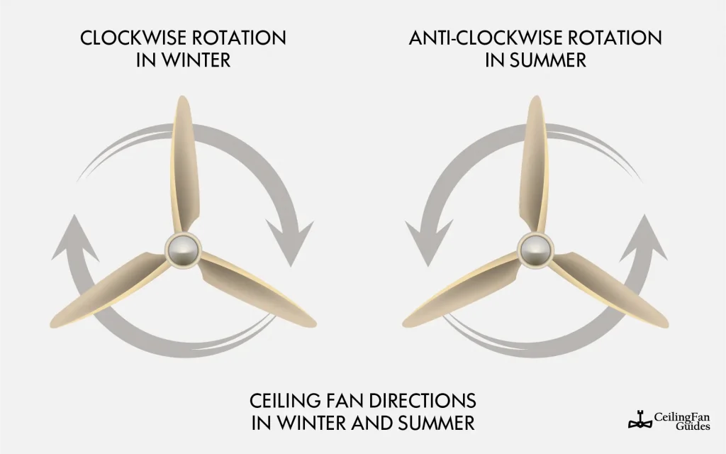 ceiling fan directions in winter and summer